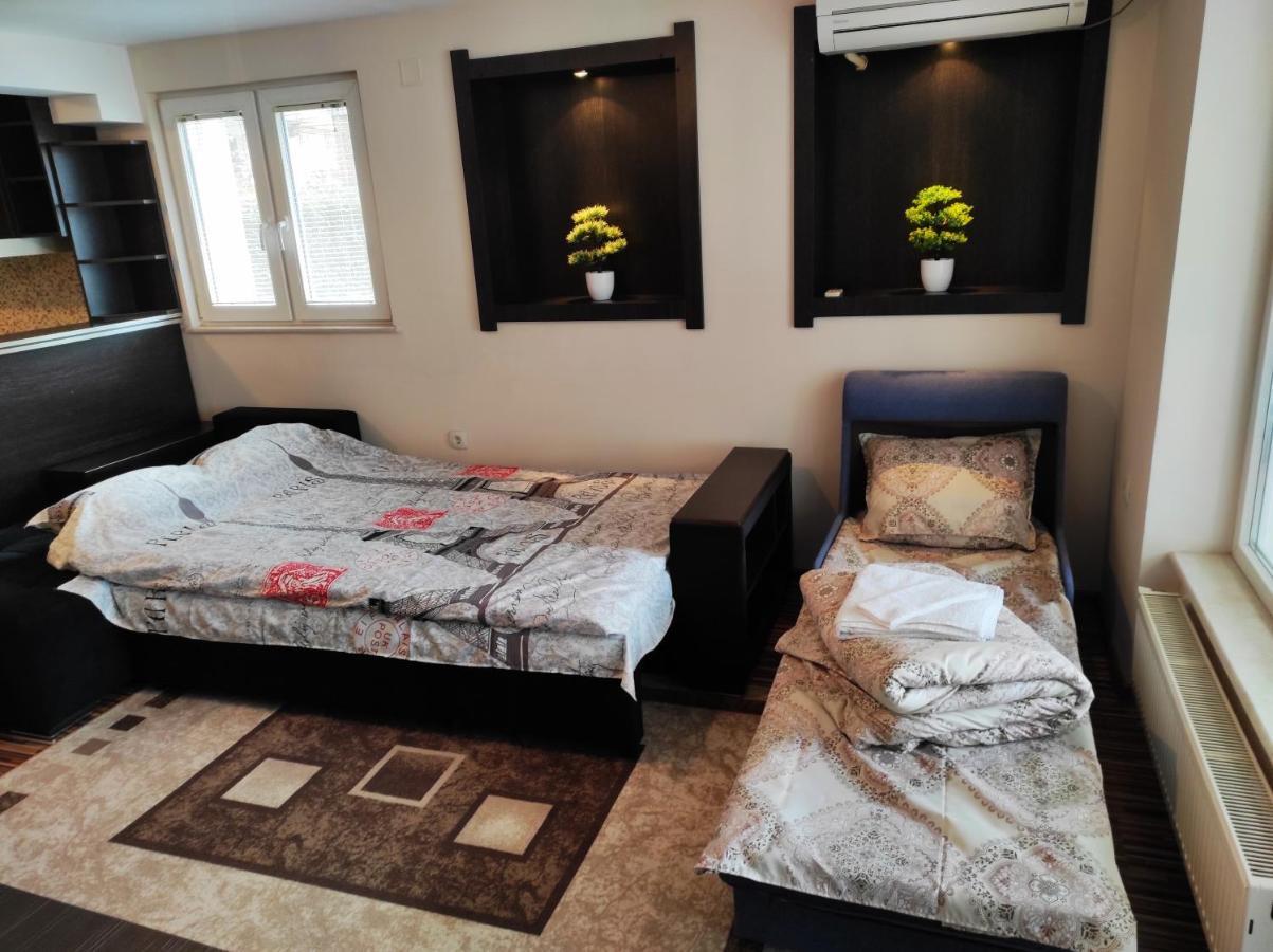Pavlovi Apartments サモコフ エクステリア 写真