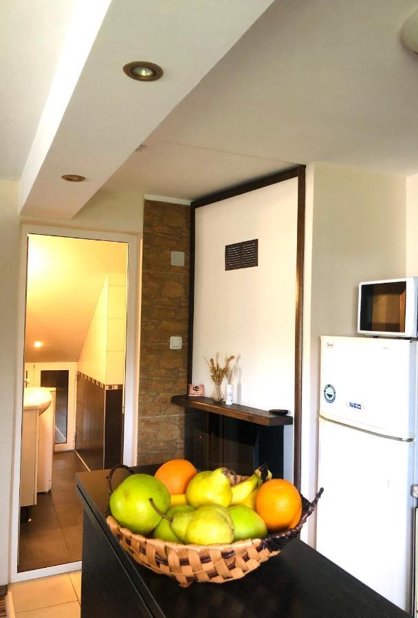 Pavlovi Apartments サモコフ エクステリア 写真